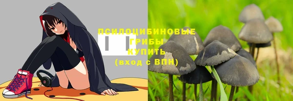 стаф Алзамай