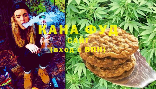 стаф Алзамай