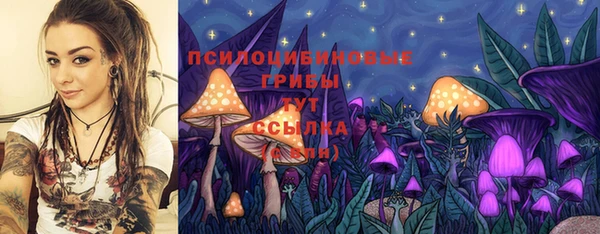стаф Алзамай