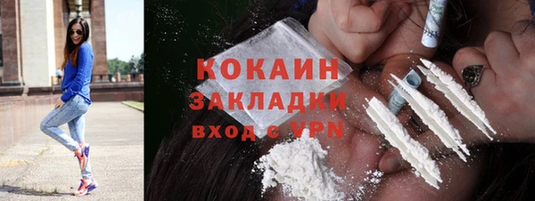 стаф Алзамай