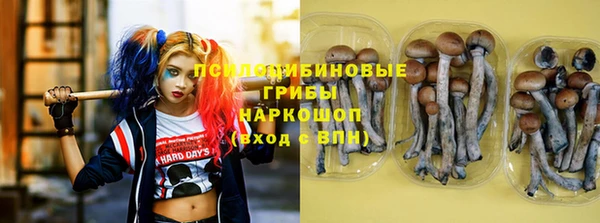 прущие крисы Алексин