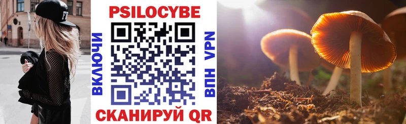 где можно купить наркотик  Звенигово  Псилоцибиновые грибы MAGIC MUSHROOMS 