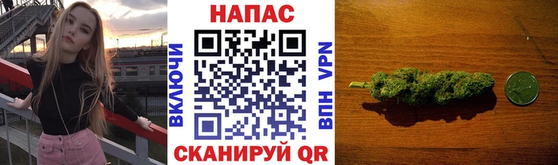 дарк нет как зайти  Звенигово  Каннабис гибрид  цена наркотик 
